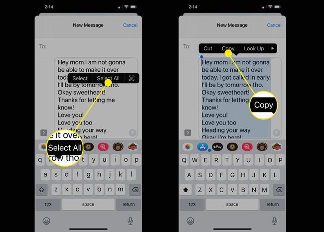 Captures d'écran illustrant comment sélectionner tout et copier dans iOS.