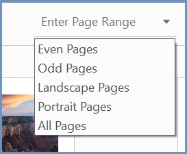 Pages PDF séparées