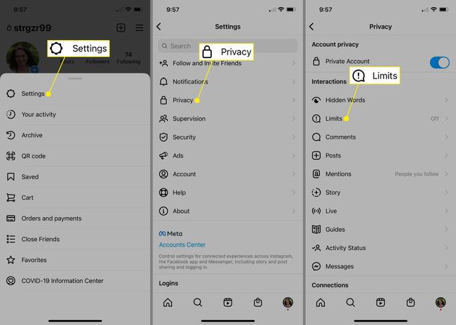 Settings, Privacy, and Limits in Instagram