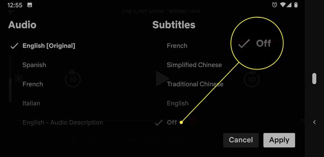 A screenshot of the Audio & Subtitles menu in Netflix with the Off option highlighted