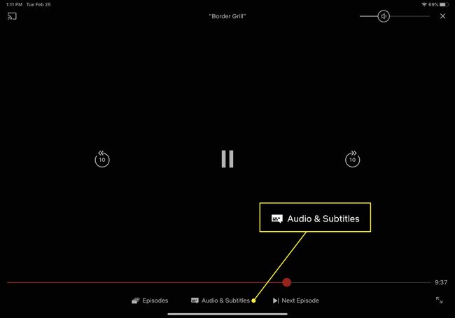 A screenshot of Netflix on iOS with the Audio & Subtitles heading highlighted