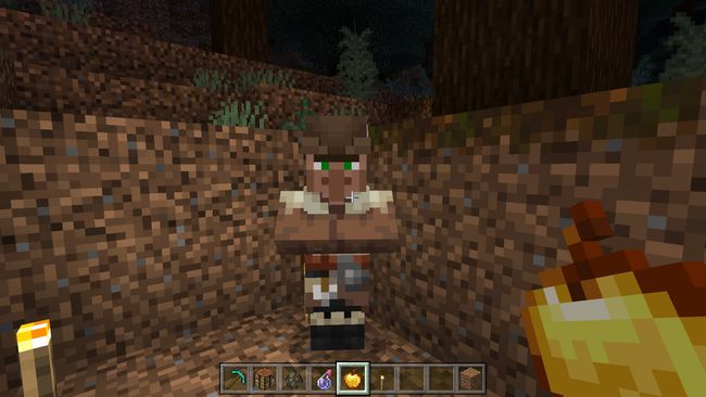 A Villager in Minecraft