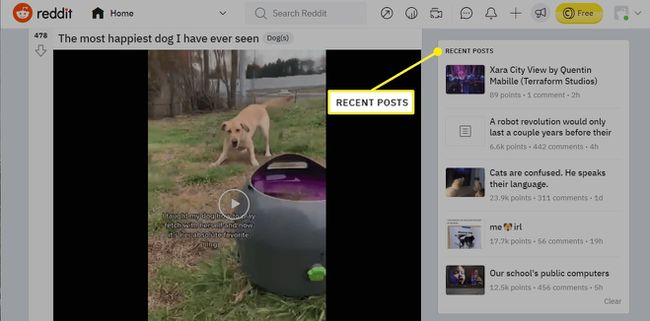 Reddit recent posts