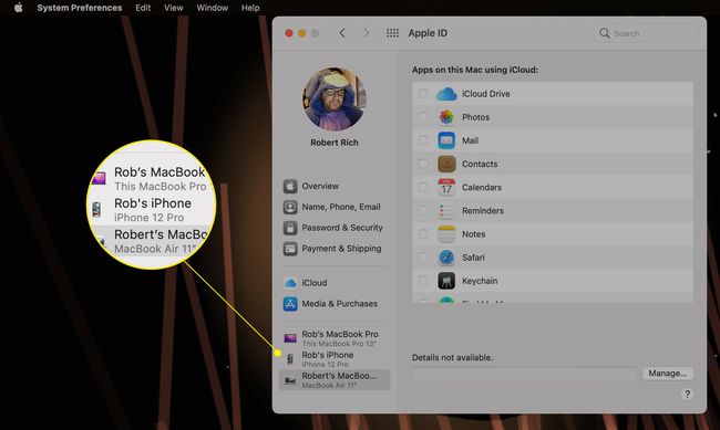 Device list on Mac Apple ID System Preferences highlighted