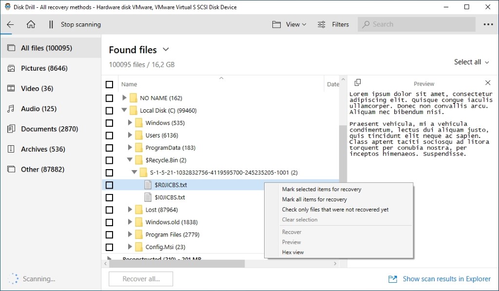 There are multiple ways to choose which files DIsk Drill should recover.