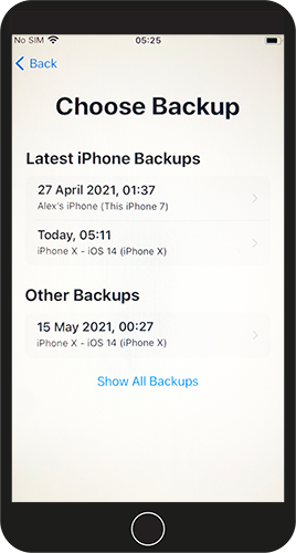 choose backup and restore your iphone