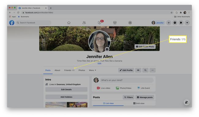 Facebook profile with Friends highlighted
