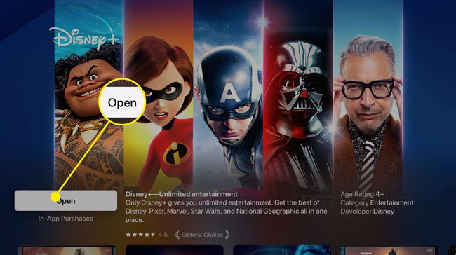 Screenshot of Disney in apple TV app store after downloading