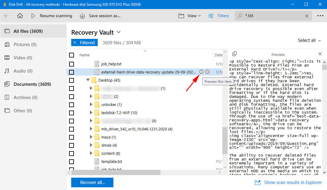 preview found txt files with disk drill