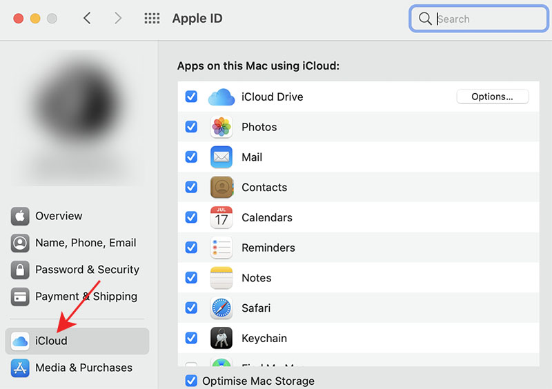 choose icloud options in macos settings