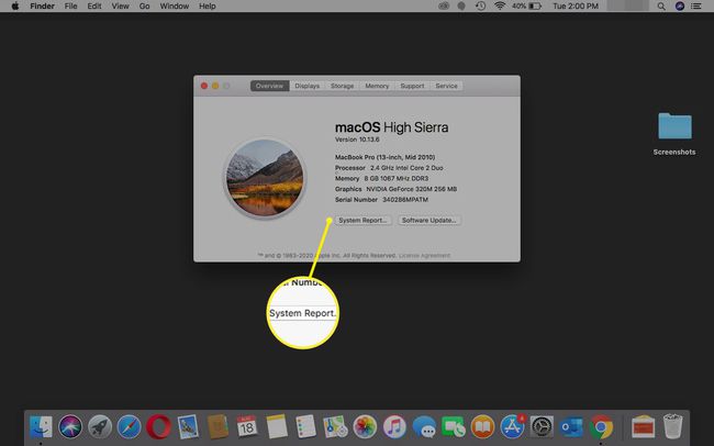 Selecting System Report on a Mac.