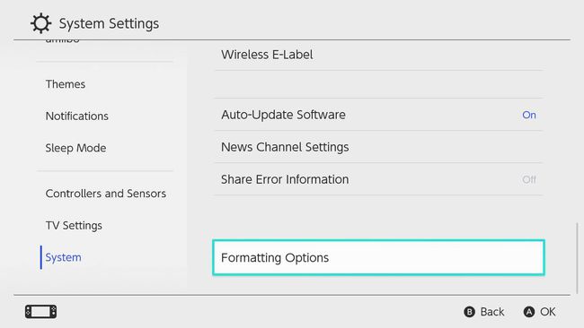 Formatting Options highlighted in the Nintendo Switch Settings menu