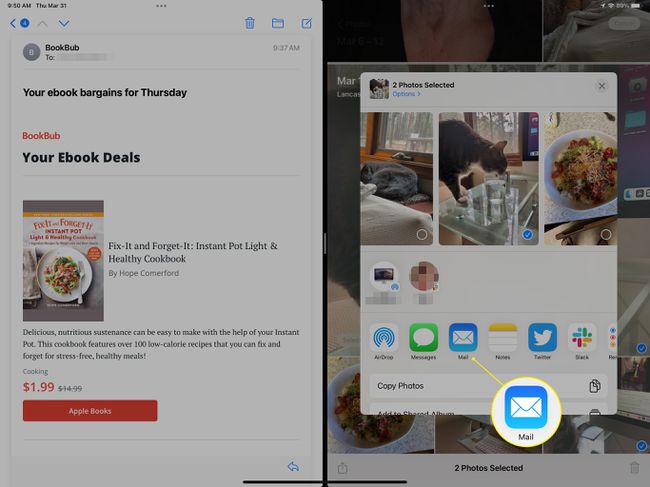 iPad split view showing the Share menu