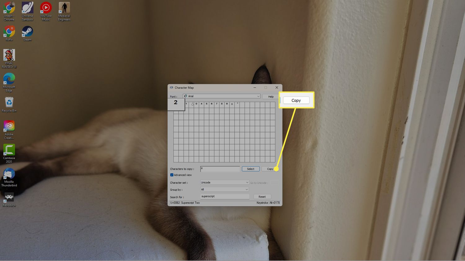 Copy in Windows Character Map