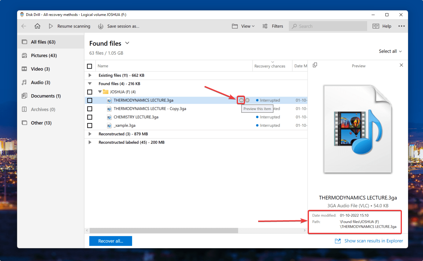 preview feature on disk drill