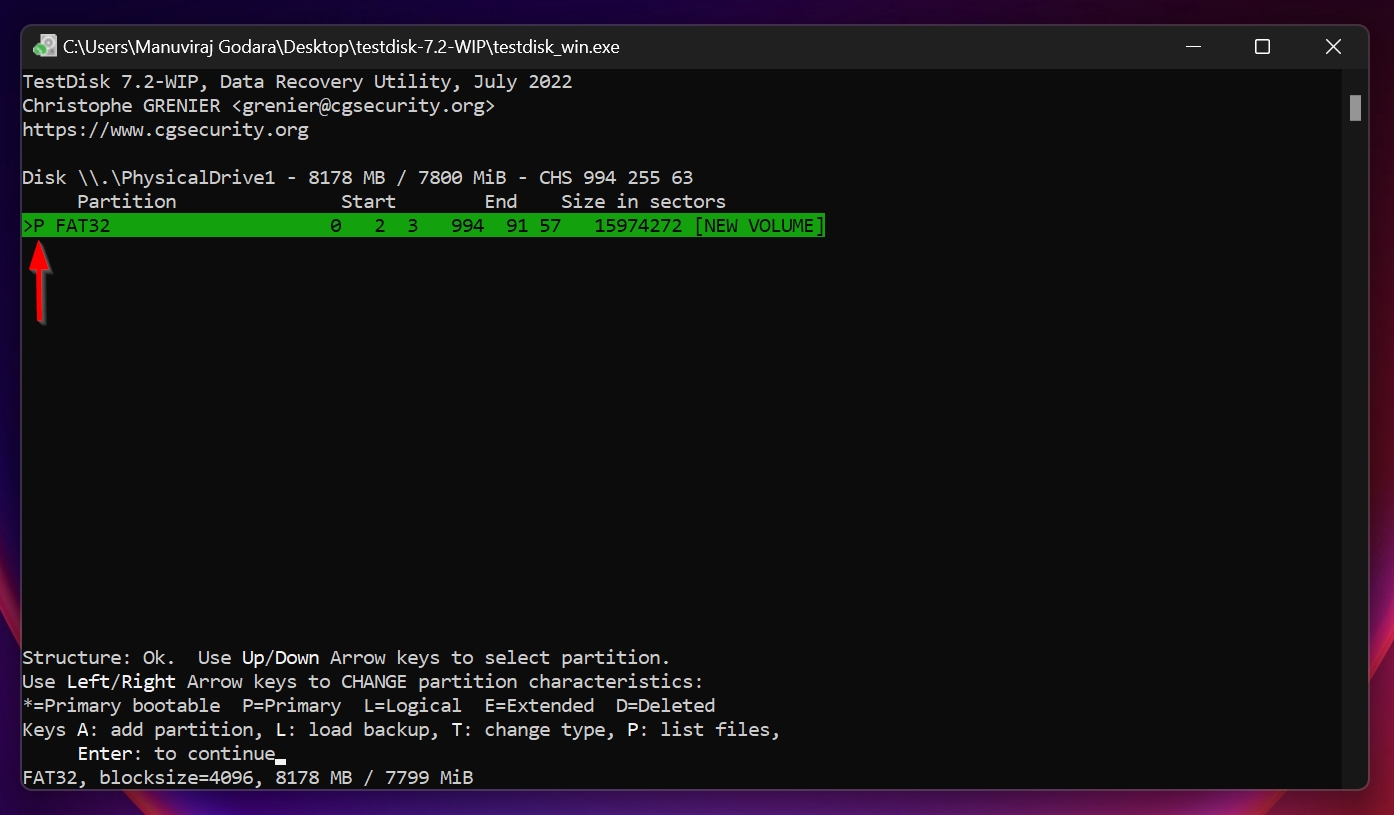 The primary partition in TestDisk.