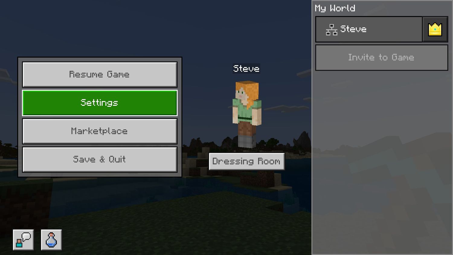 Settings in Minecraft in-game menu