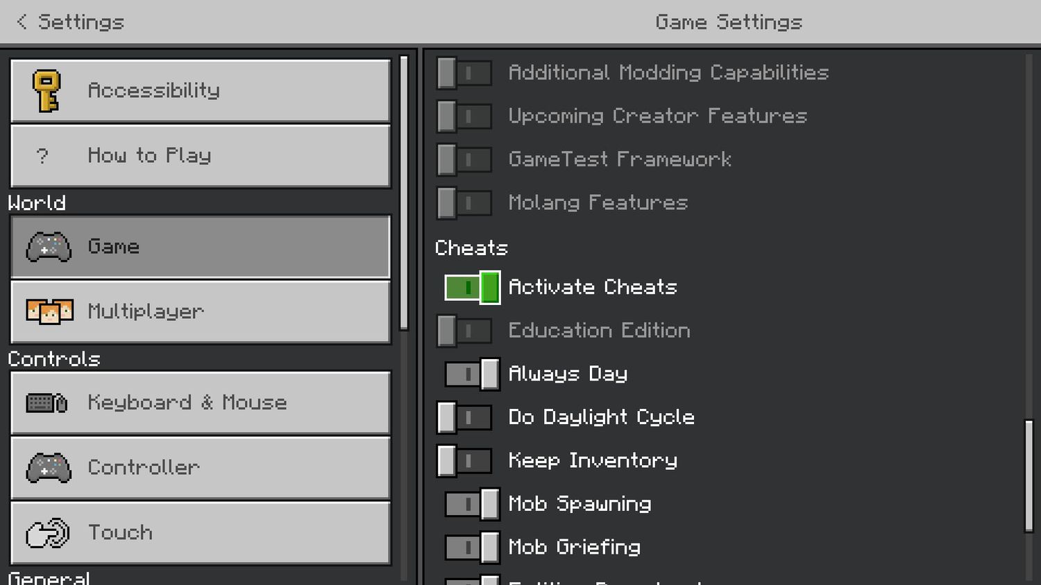 Activate Cheats toggle in Minecraft settings