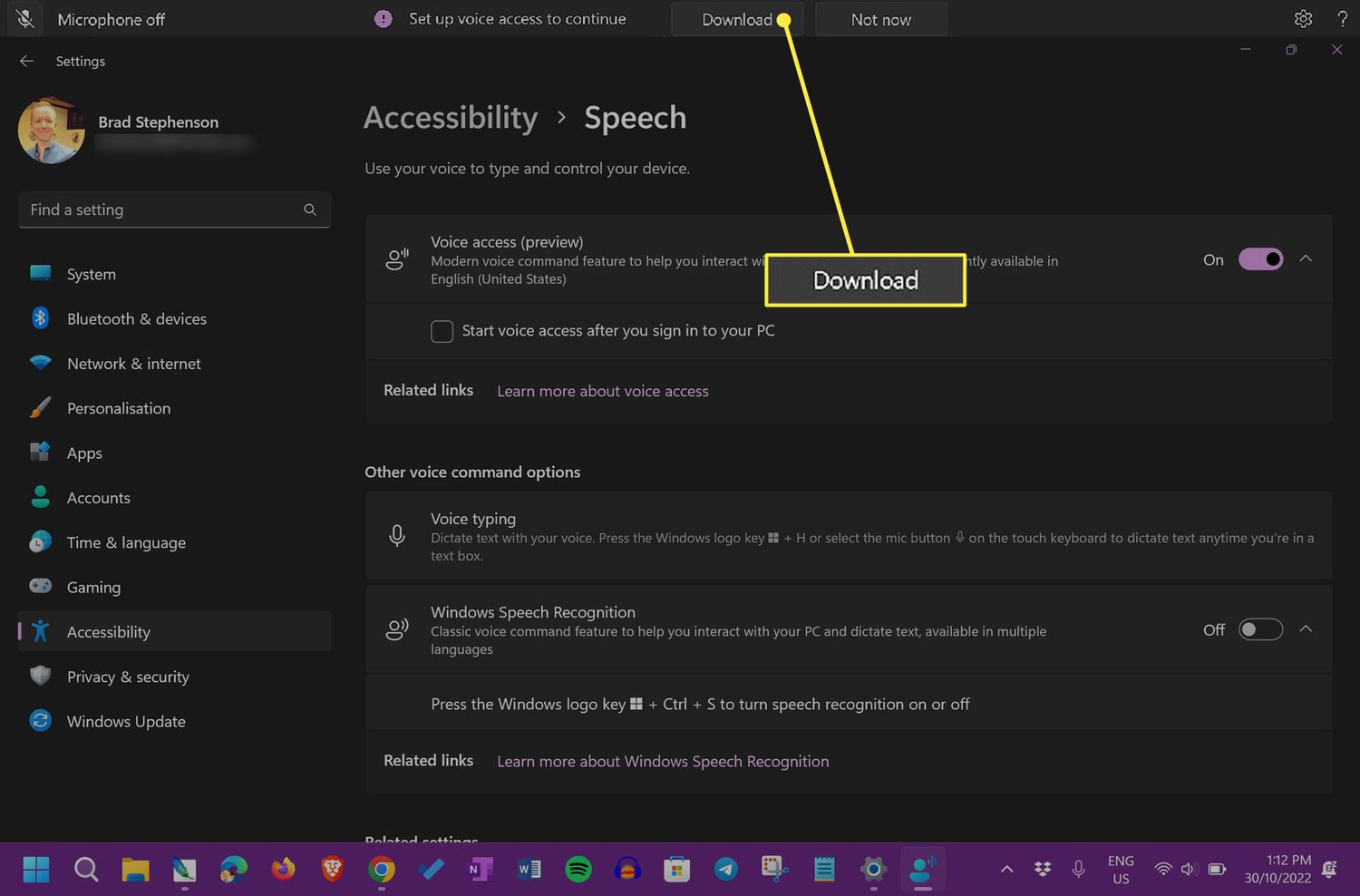 Download highlighted in Windows 11 voice access settings