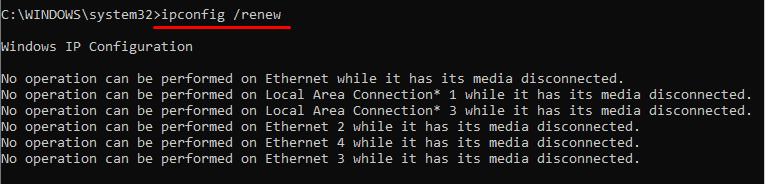 ipconfig renew