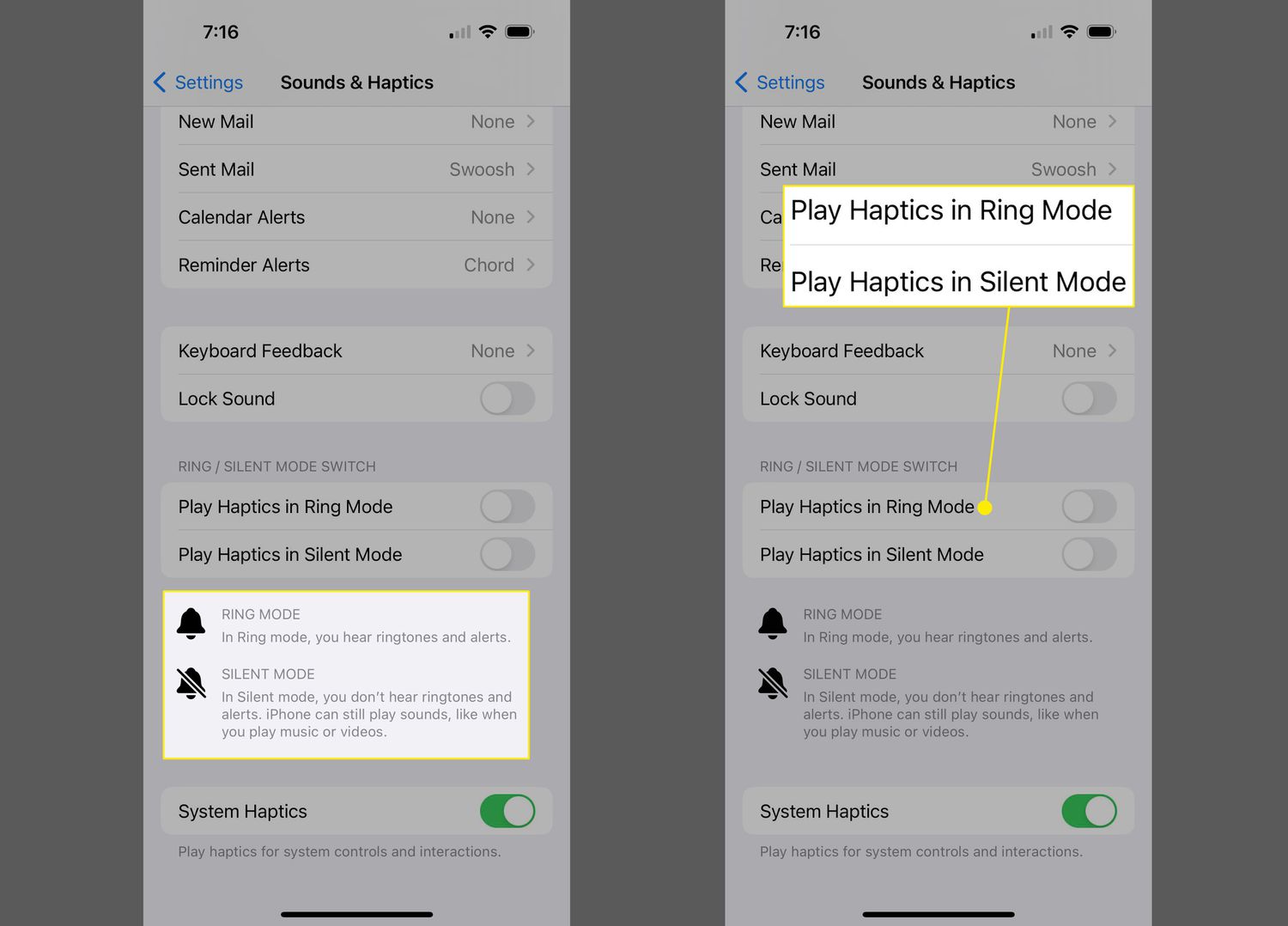 Ring Mode, Silent Mode, Play Haptics in Ring Mode, and Play Haptics in Silent Mode highlighted in iPhone settings