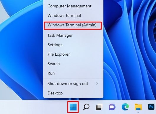 windows terminal option